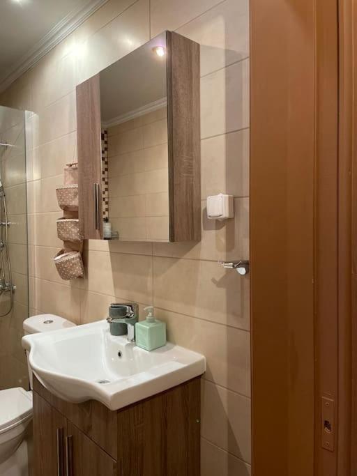 Appartamento Politis' Wooden House Vassiliki Esterno foto
