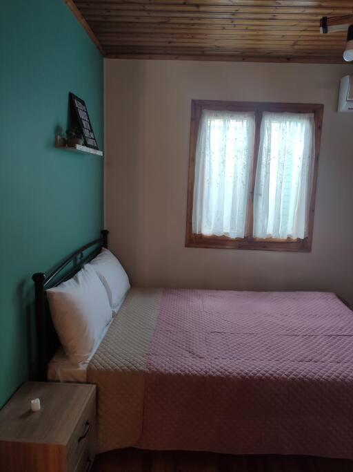 Appartamento Politis' Wooden House Vassiliki Esterno foto